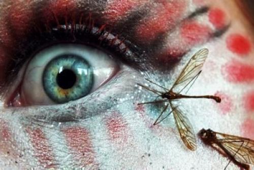 Боязнь насекомых психосоматика. Инсектофобия или энтомофобия — боязнь перед насекомыми