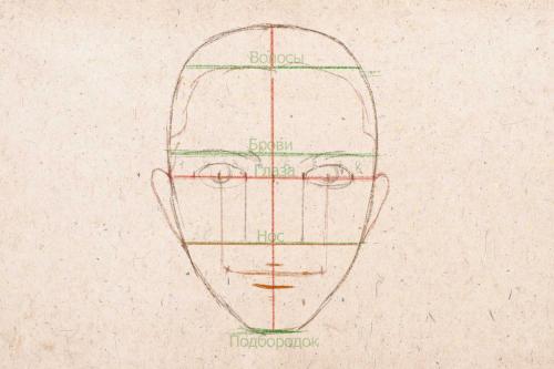 Рисунок человека лицо. Рисуем лицо человека