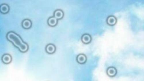 Панические атаки тахикардия. Тахикардия при панике