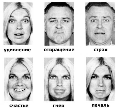 Эмоции и чувства цитаты. Эмоции и чувства: цитаты