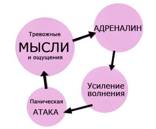 Кто лечит страхи и панические атаки. Визит к психотерапевту