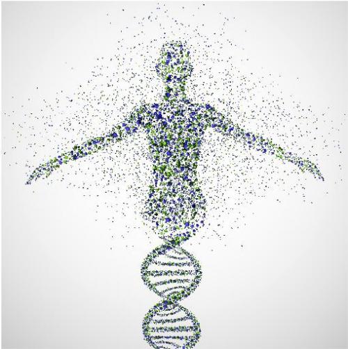 Сообщение о науке психология. Что такое психология? 09