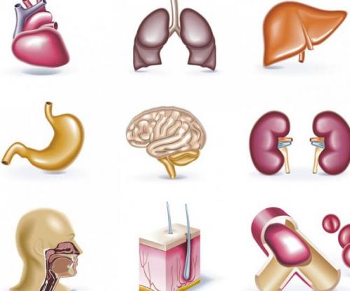 Сообщение о науке психология. Что такое психология? 08