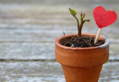 Если мужчина-Телец любит по настоящему, как он себя ведет психология. Как узнать, что мужчина-Телец без ума от вас