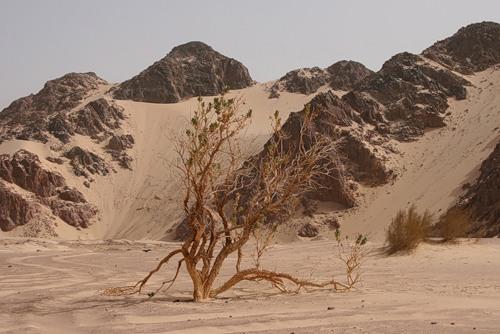 Страх неизвестности притча. Страх неизвестности. Притчи
