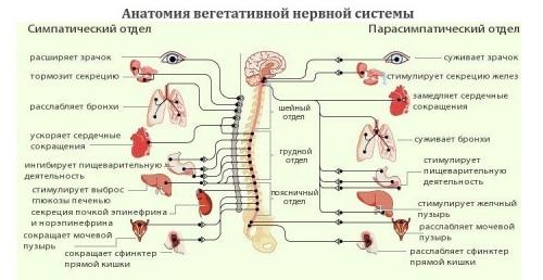 ВСД по смешанному типу Что такое. 1) Что такое ВСД по смешанному типу? 06