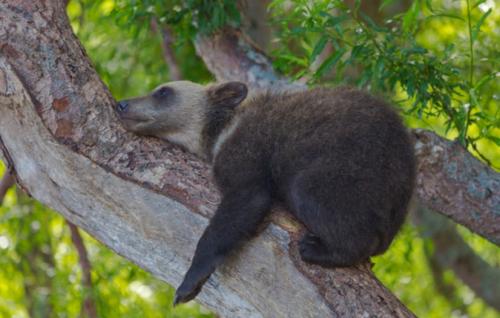 Как побороть страхи