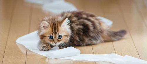 Как воспитывать 2 летнего мальчика. Игры 01