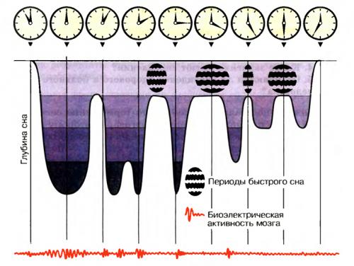 Ночные панические атаки. Общая информация