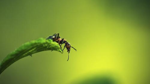 Почему мужчины должны женщинам.  
