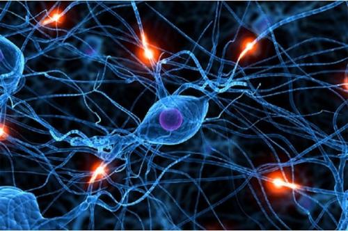 Нцд по кардиальному типу код по мк.  Мкб 10 нцд по кардиологическому типу