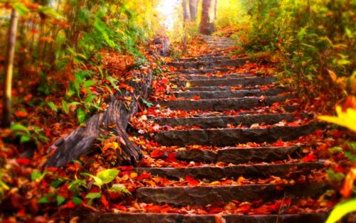 Притчи о пути. Притча о собственном пути