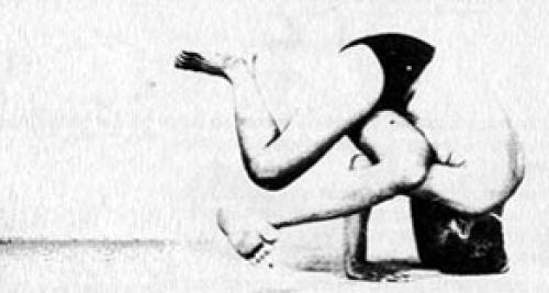 Эка Пада Каундиниасана. Поза мудреца Каундиньи III