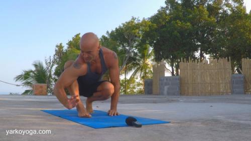 Паршва Бакасана. Бакасана и Паршва Бакасана