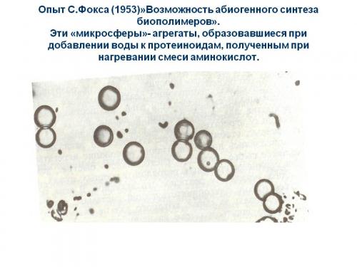 Опыт Фокса. Опыт С.Фокса