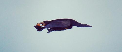 Советы 30-летним для 20 советов двадцатилетним от того, кому за тридцать