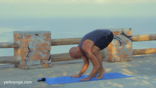 Паршва Бакасана. Бакасана и Паршва Бакасана