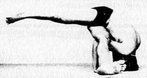 Эка Пада Каундиниасана. Поза мудреца Каундиньи III