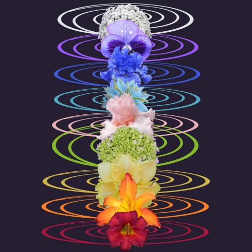 Медитации ошо чакровое дыхание ошо. Медитация Ошо "Чакровое дыхание"