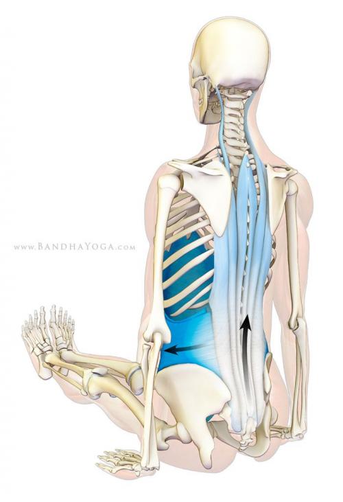 Йога Дандасана. 