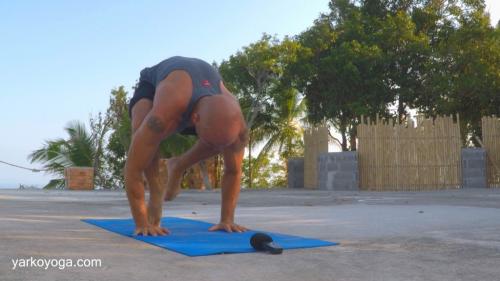 Паршва Бакасана. Бакасана и Паршва Бакасана