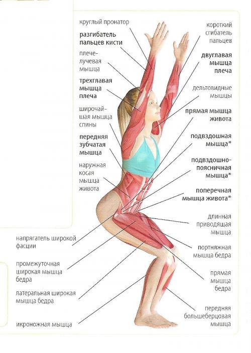 Уткатасана техника. Асана уткатасана. Поза стул в йоге