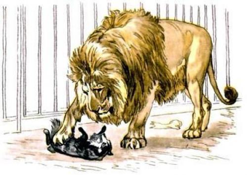 Притча про льва и собаку. Притча от Льва Толстого