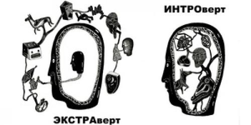 Что такое амбиверсия. Кто это такой амбиверт, его характеристика