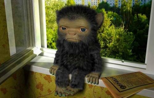 Как перестать бояться быть одной дома. Почему мы не чувствуем себя полноценными без пары? 07