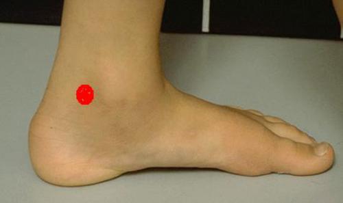 Канал почек точки r3. Меридиан почек — R