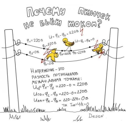 Законы физики в жизни человека примеры. Зачем мне эта дурацкая физика? А вот зачем!