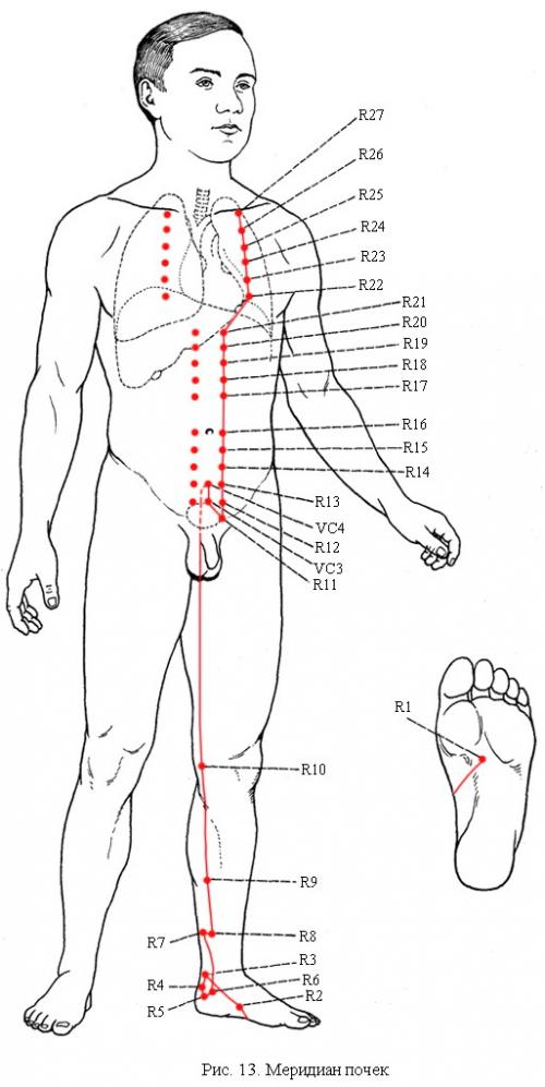 Канал почек основные точки. Волшебная точка: помогаем почкам
