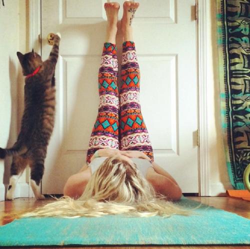 Позы в йоге поза свечки. Для крепкого здоровья! Всего одно упражнение “поза согнутой свечи”