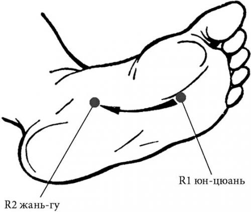 Канал почек точки r3. Меридиан почек — R