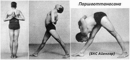 Паршвоттанасана техника выполнения. Техника выполнения