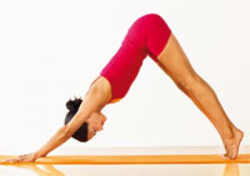 Адхо Мукха Шванасана. Подробное описание Адхо Мукха Шванасаны