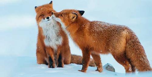 Произведения с глубоким смыслом известных авторов. Короткие рассказы для души — небольшие душевные истории со смыслом