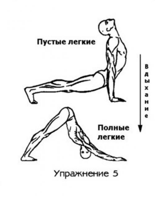 Советы тибетских монахов для женщин. Пятое упражнение