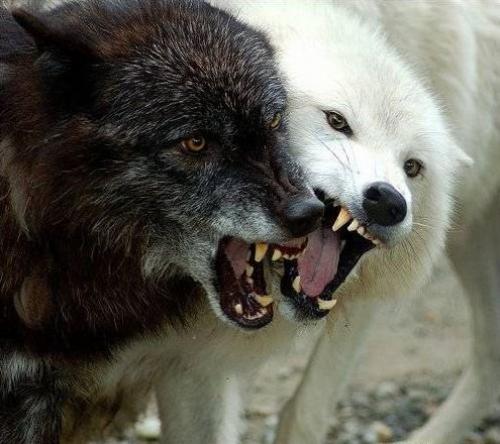 Как выработать в себе внутренний стержень. Как обрести «внутренний стержень силы»?