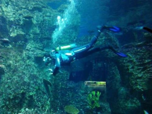 Задержка дыхания тренировка. Совет 6 : Как научиться надолго задерживать дыхание