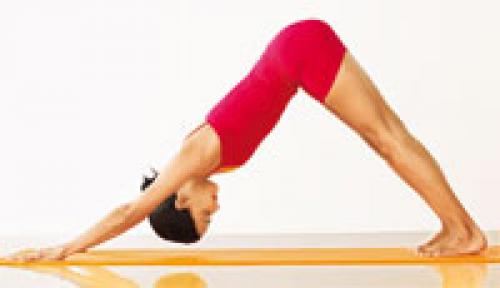 Адхо Мукха Шванасана. Подробное описание Адхо Мукха Шванасаны