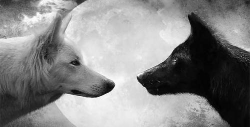 Произведения с глубоким смыслом известных авторов. Короткие рассказы для души — небольшие душевные истории со смыслом