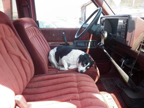 Трогательные истории о любви. 14 трогательных историй о любви