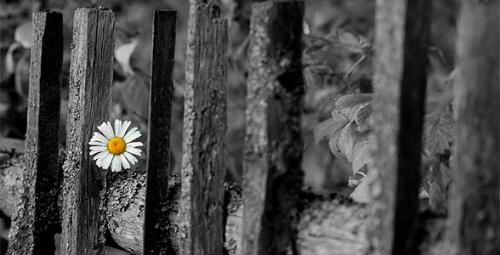 Произведения с глубоким смыслом известных авторов. Короткие рассказы для души — небольшие душевные истории со смыслом