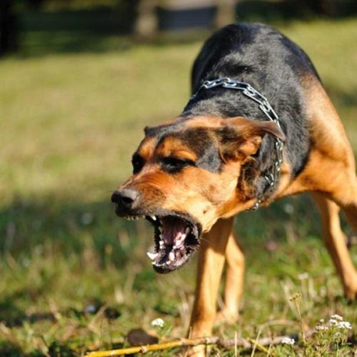 Самые странные фобии человека. Топ 10 распространенных фобий