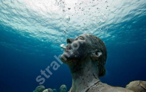 Фобия глубины. Батофобия - страх или боязнь глубины воды