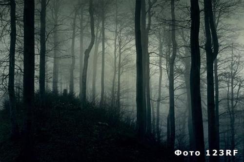 Как называются люди, которые боятся темноты. Как называется боязнь темноты и что это за фобия?