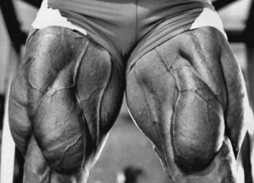 Титтибхасана техника выполнения. Титтибхасана