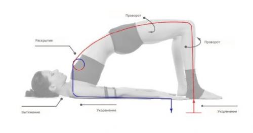 Сету Бандха Сарвангасана Поза. Техника выполнения асаны Сету Бандха Сарвангасаны