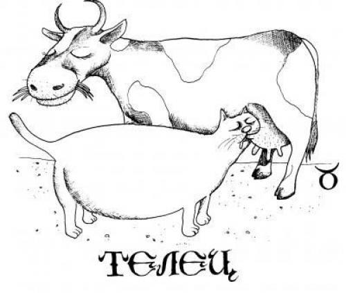 Чем отличаются знаки зодиака от гороскопа. Чем отличаются знаки зодиака (текст + 12 картинок)